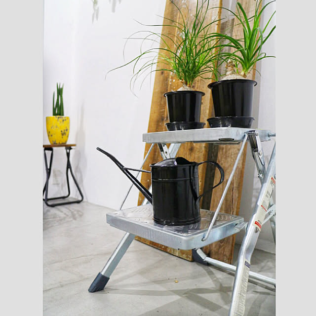 chairgreenさんの実例写真