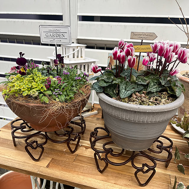 felicityさんの実例写真