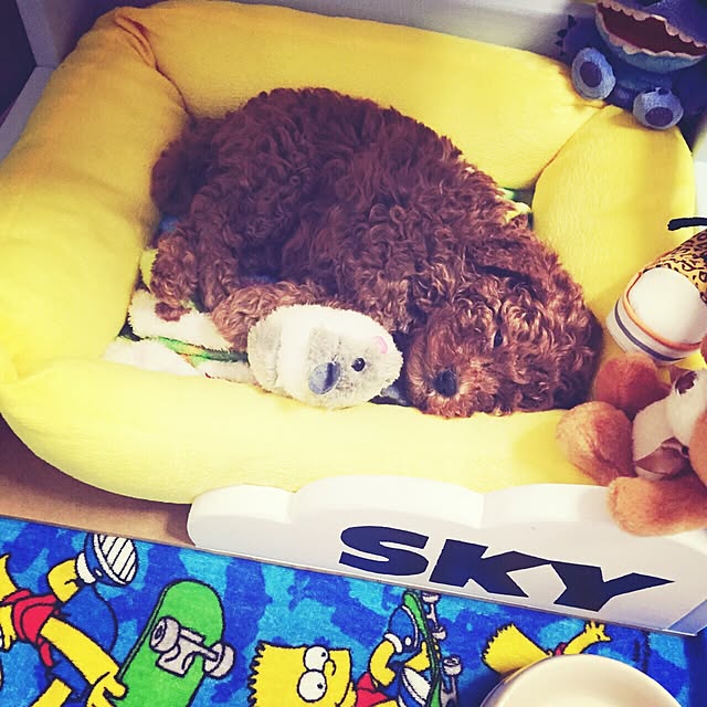 Taenyeonさんの実例写真