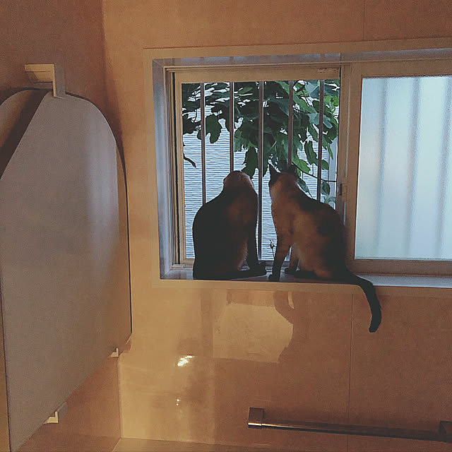 Rさんの実例写真