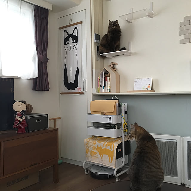 mikomaruさんの実例写真