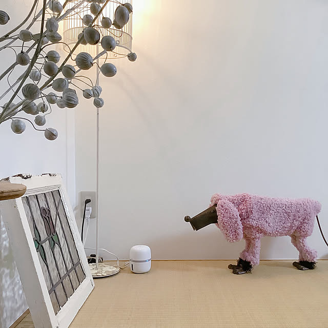 naive.coccoさんの実例写真