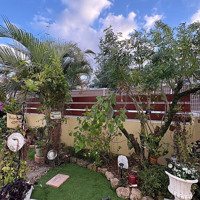 bu-bu-chanさんの部屋