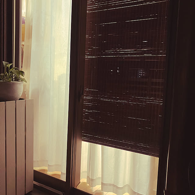 koshiregutyoさんの部屋