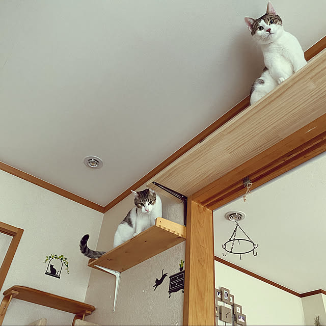 Lufuさんの実例写真