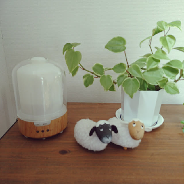 Green-leaf.1206さんの実例写真