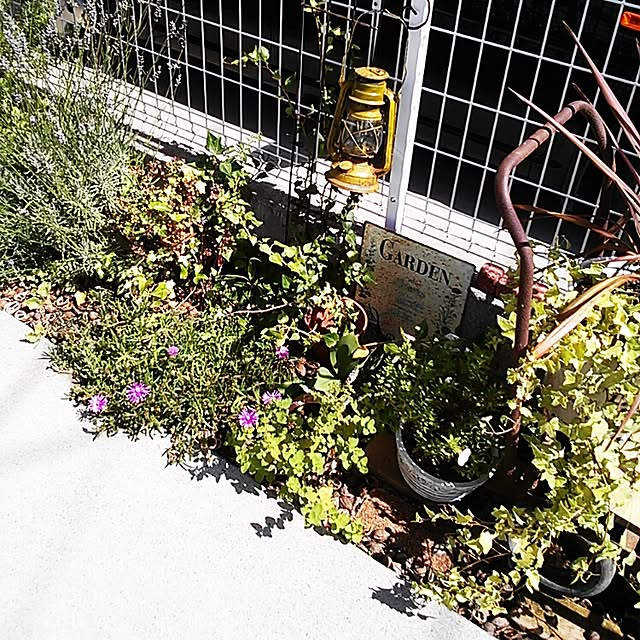 hirousaさんの実例写真