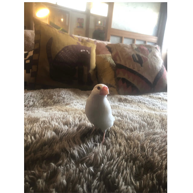 riettaさんの実例写真