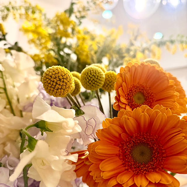 kokedamaさんの実例写真