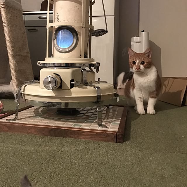ktnさんの実例写真