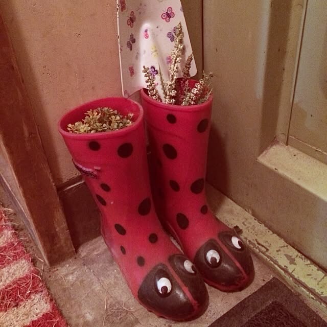 mkmkさんの実例写真