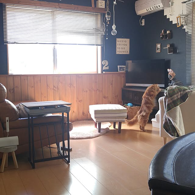 l..tomesanさんの実例写真