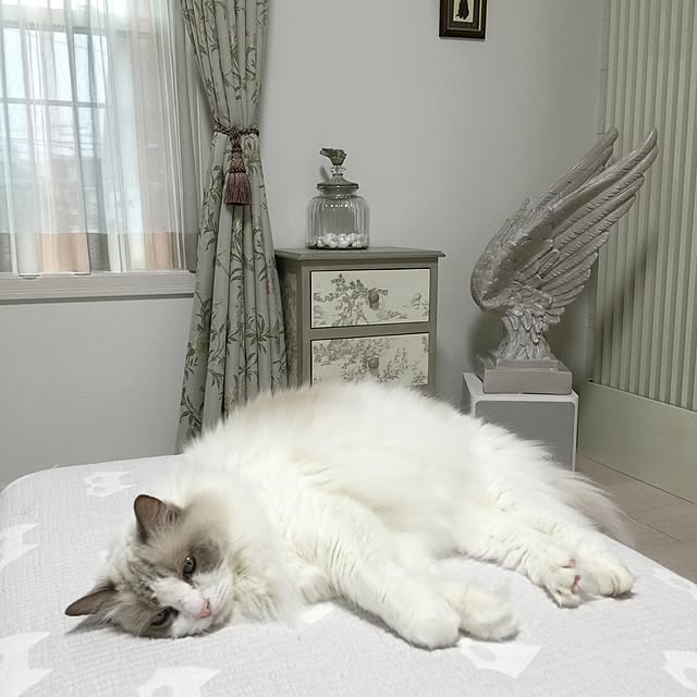 yuchiさんの実例写真