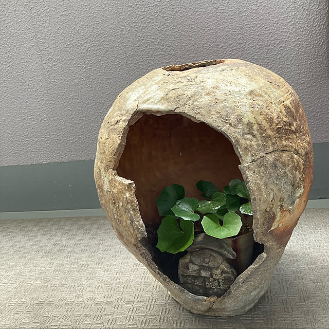 goeさんの実例写真