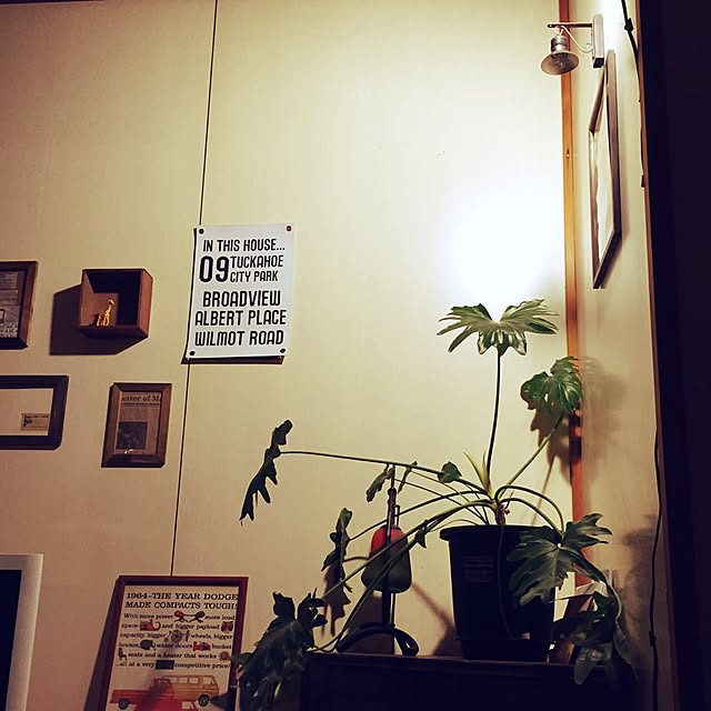 calmsweetsweetさんの実例写真