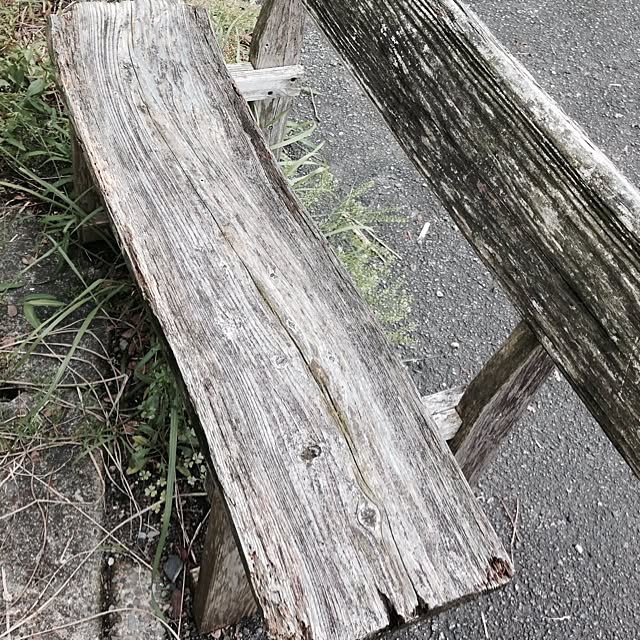 Miharuさんの実例写真