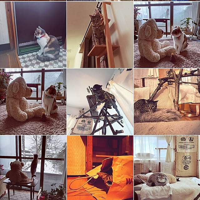akimameさんの実例写真