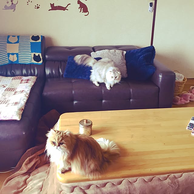 miyapp.hiroppさんの実例写真