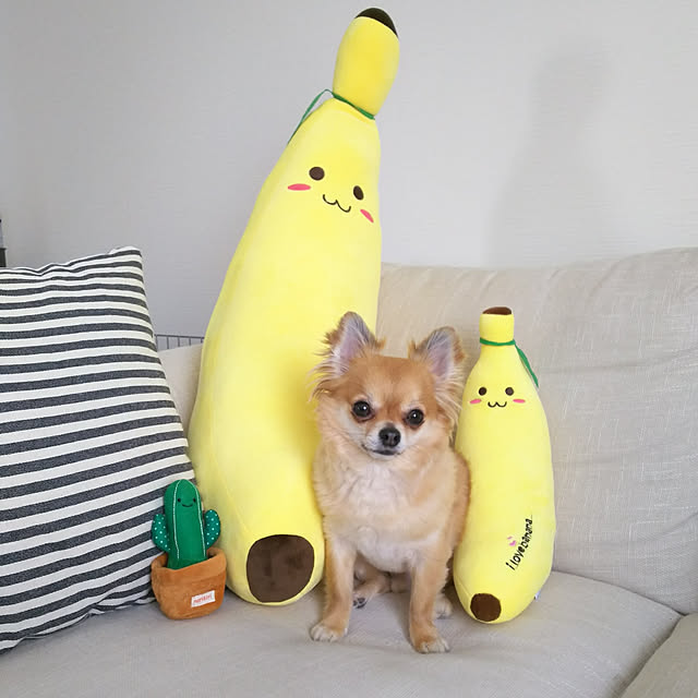 kojikojiさんの実例写真