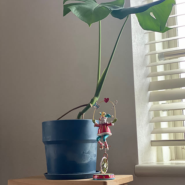 リビング/観葉植物/クリスマスディスプレイ/クリスマス飾り/クリスマス雑貨...などのインテリア実例 - 2024-12-05 22:47:48