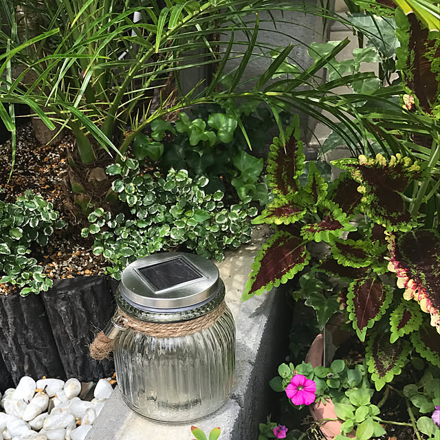 chokorabimilkさんの実例写真