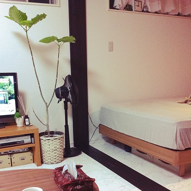 pさんの実例写真