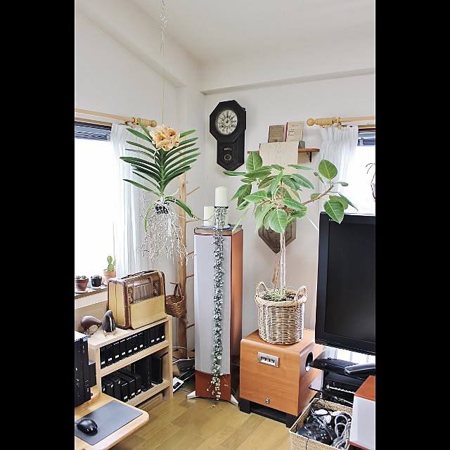 48=SHI-BAさんの実例写真
