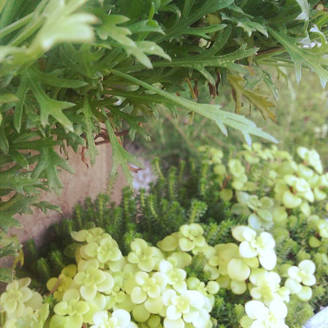 akr29さんの実例写真