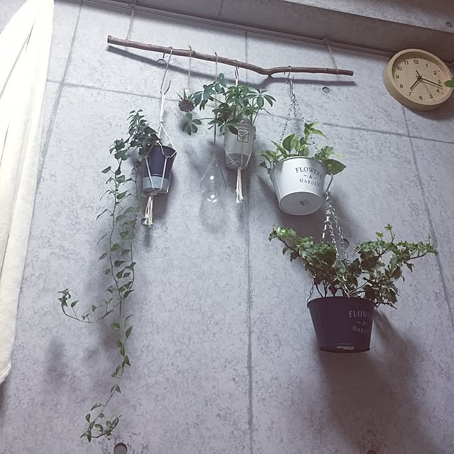 meさんの実例写真