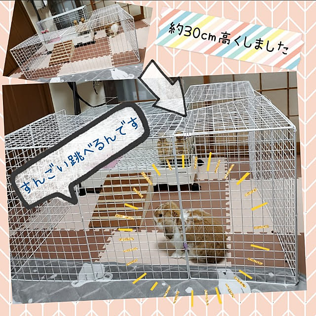 m_geneさんの実例写真