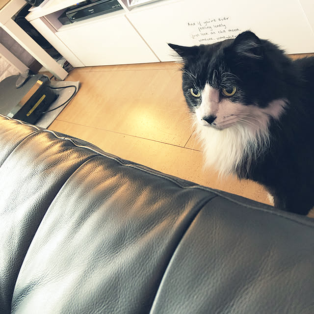 kanaさんの実例写真