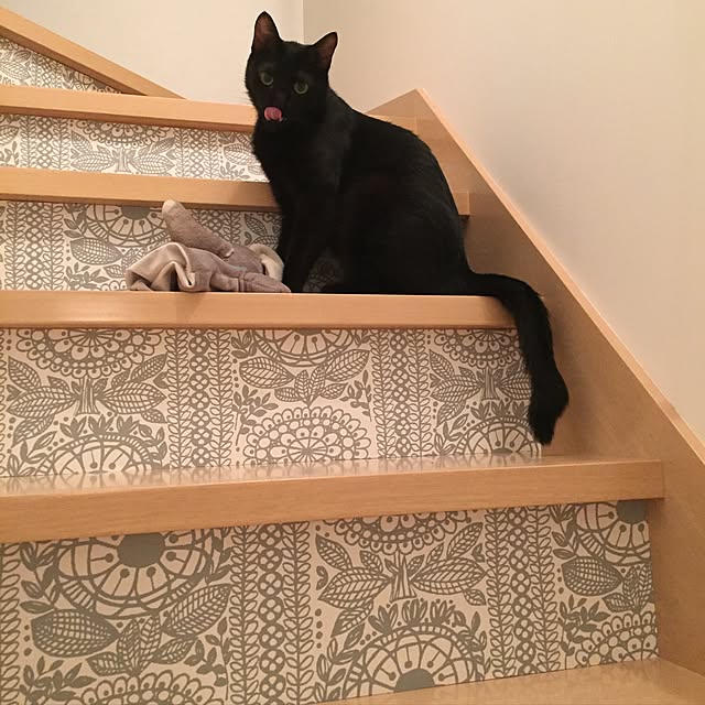 KonekoTorinoさんの実例写真