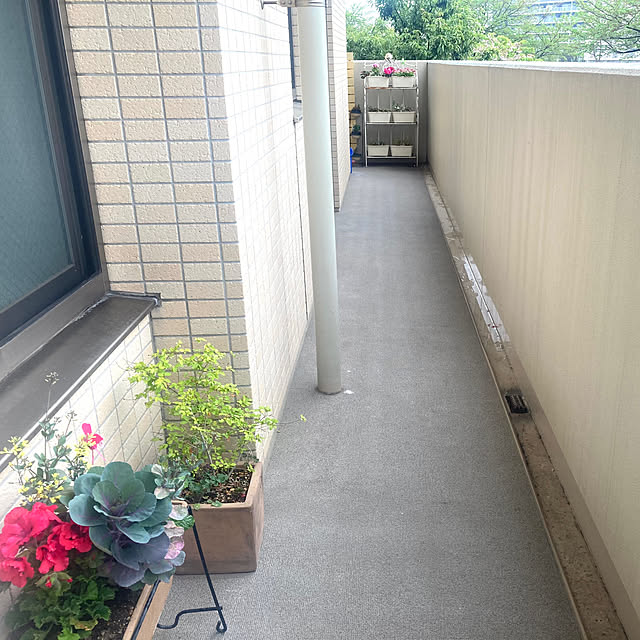 marukoさんの部屋