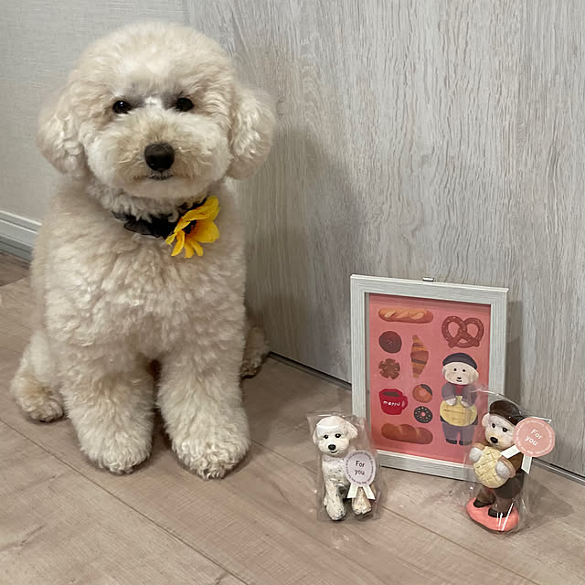 madamkaoriさんの部屋