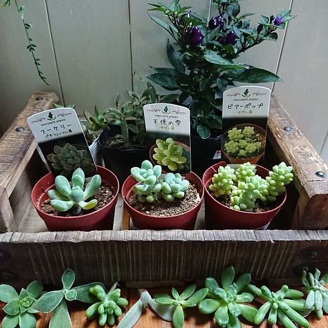 karinさんの実例写真