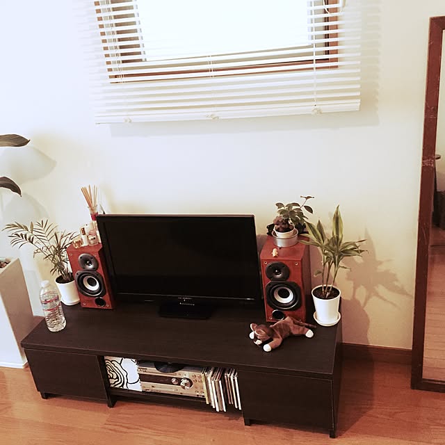 部屋全体/観葉植物/一人暮らし/賃貸のインテリア実例 - 2015-05-30 16:41:10