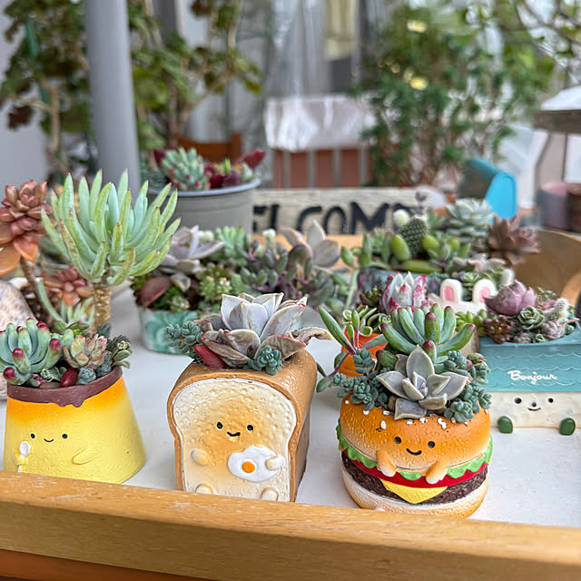 Aqettyさんの部屋