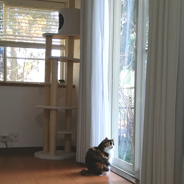 momo-ohanaさんの実例写真