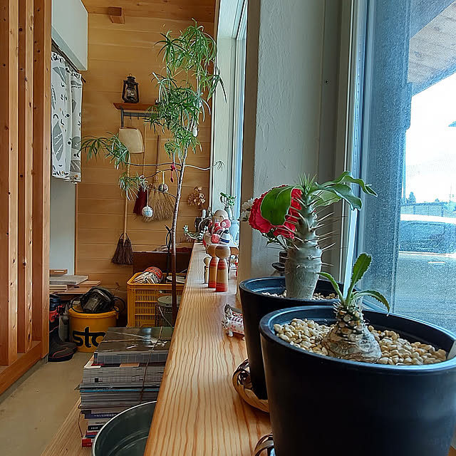 t.yumiさんの実例写真