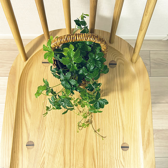 yoyoyoさんの部屋