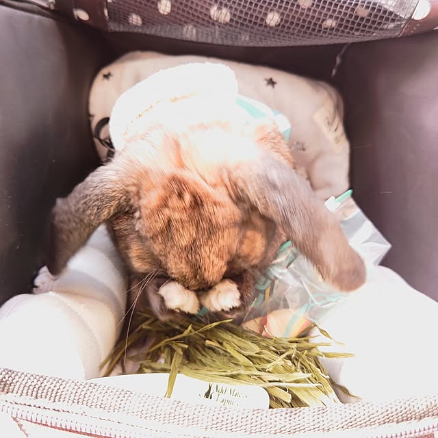 mariaさんの部屋