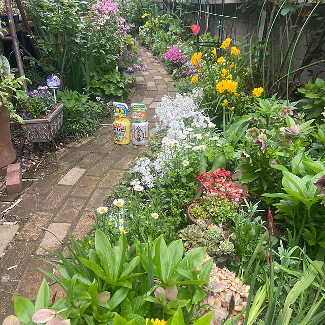 na-chanさんの部屋