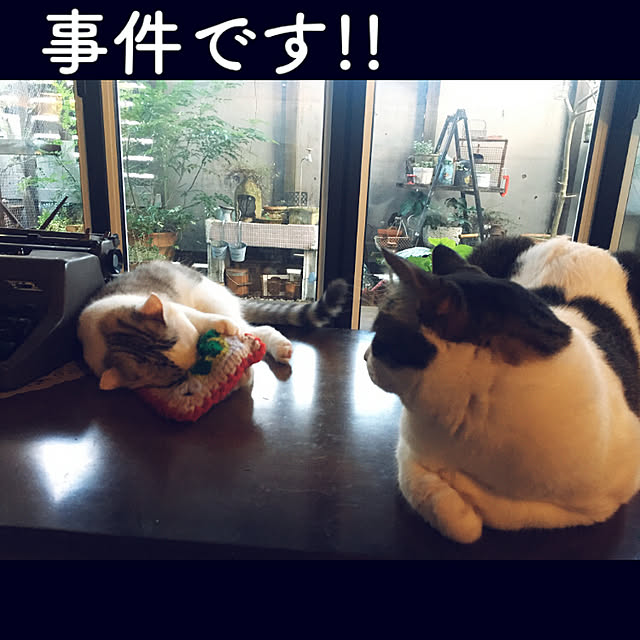 marusanさんの実例写真