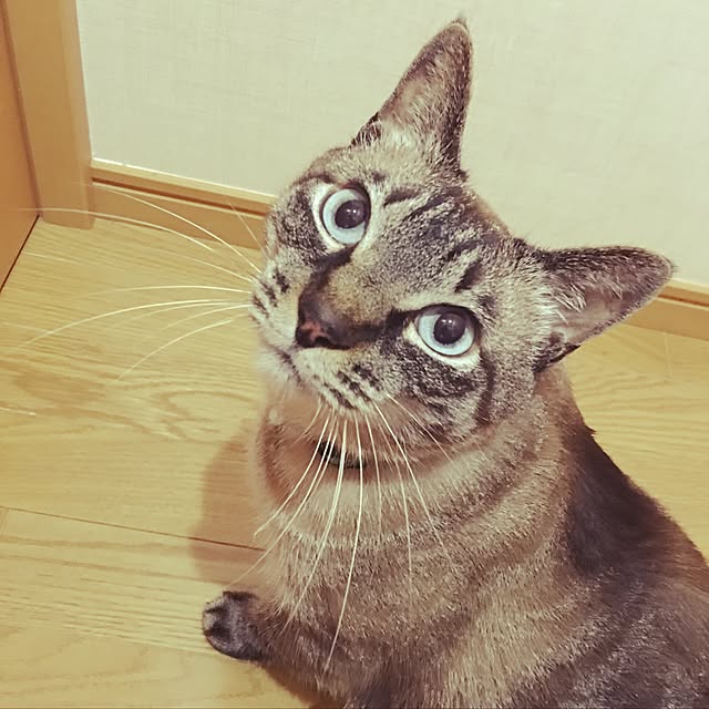 NATEMANさんの実例写真
