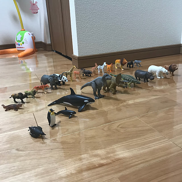 Risaさんの実例写真
