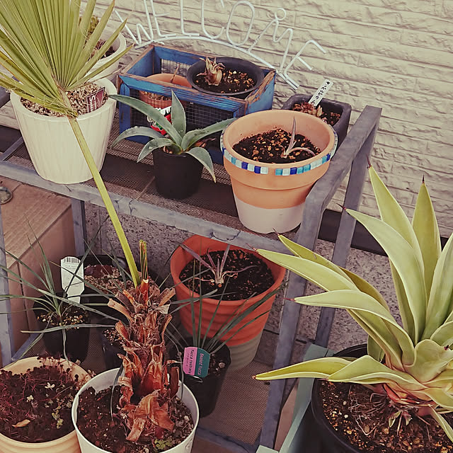 ot-gardenさんの実例写真