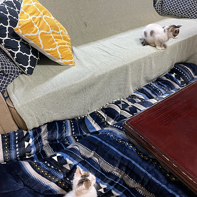 youさんの実例写真
