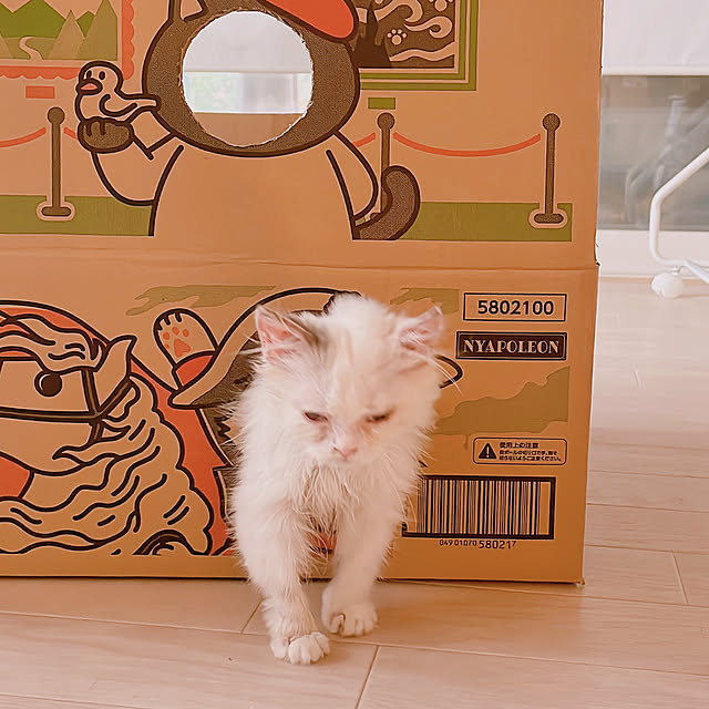 milkcocoaさんの部屋