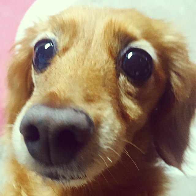 sakuさんの実例写真