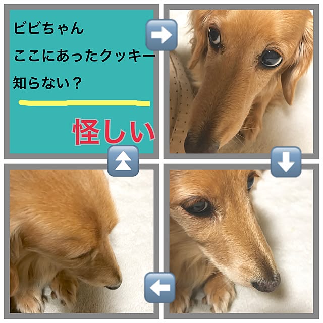 bibianさんの実例写真